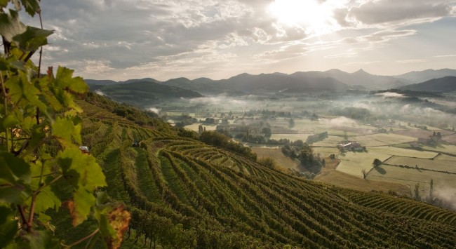 e2a05bfd-8de1-45e1-bca6-a3fa8ae2433b e2a05bfd-8de1-45e1-bca6-a3fa8ae2433b