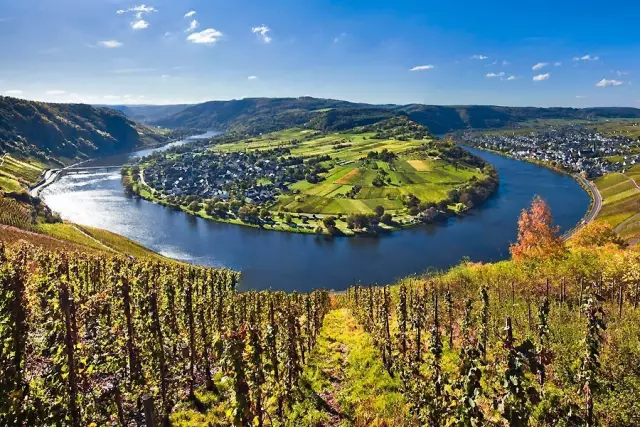 全球升溫，或將影響葡萄酒口感