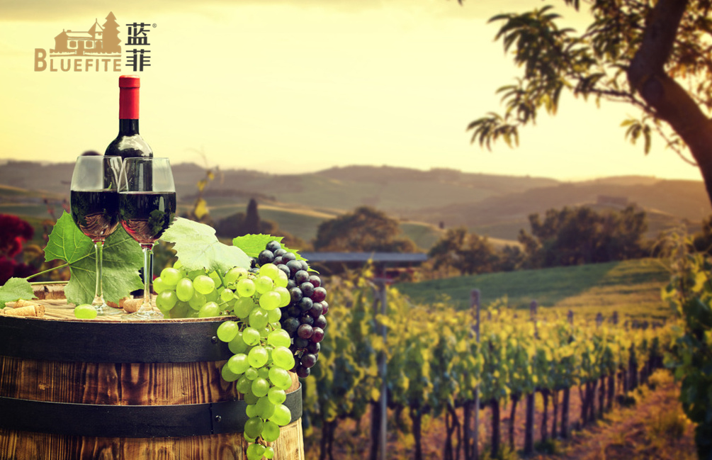 葡萄酒產業升級,提高葡萄酒安全質量是關鍵