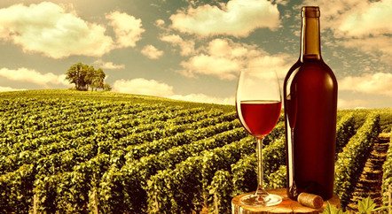 刷新拍賣紀錄的1945年羅曼尼·康帝是一款怎樣的酒？